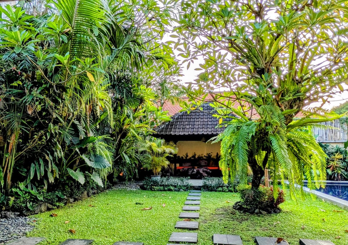 Backyard